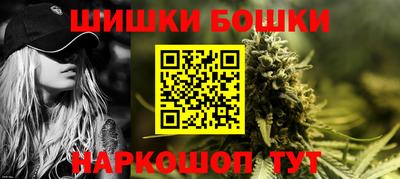 индика Славгород