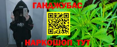 индика Славгород