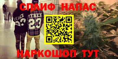 стаф Сланцы
