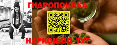 молекула духа Славянск-на-Кубани