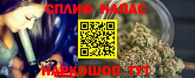 индика Славгород