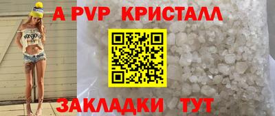 стаф Сланцы