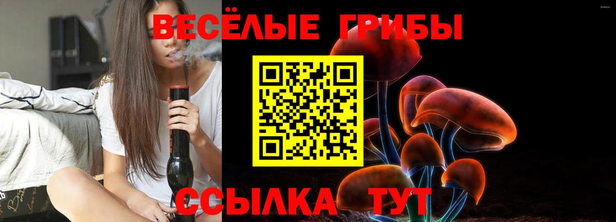 Галлюциногенные грибы GOLDEN TEACHER  Псилоцибиновые грибы MAGIC MUSHROOMS  Новочебоксарск  Вход с VPN 